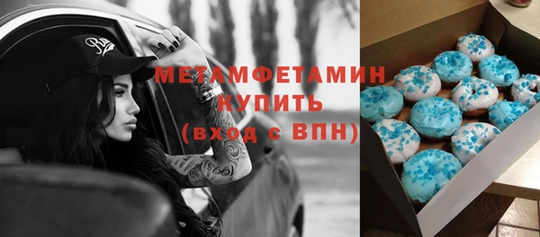 молекула духа Богданович