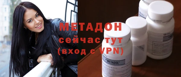 молекула духа Богданович