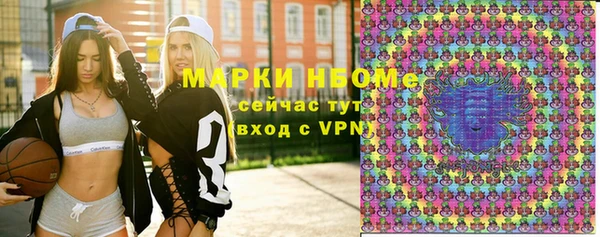 молекула духа Богданович