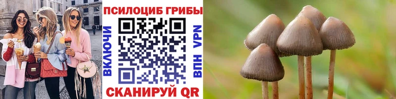 Псилоцибиновые грибы Psilocybine cubensis  Беломорск 